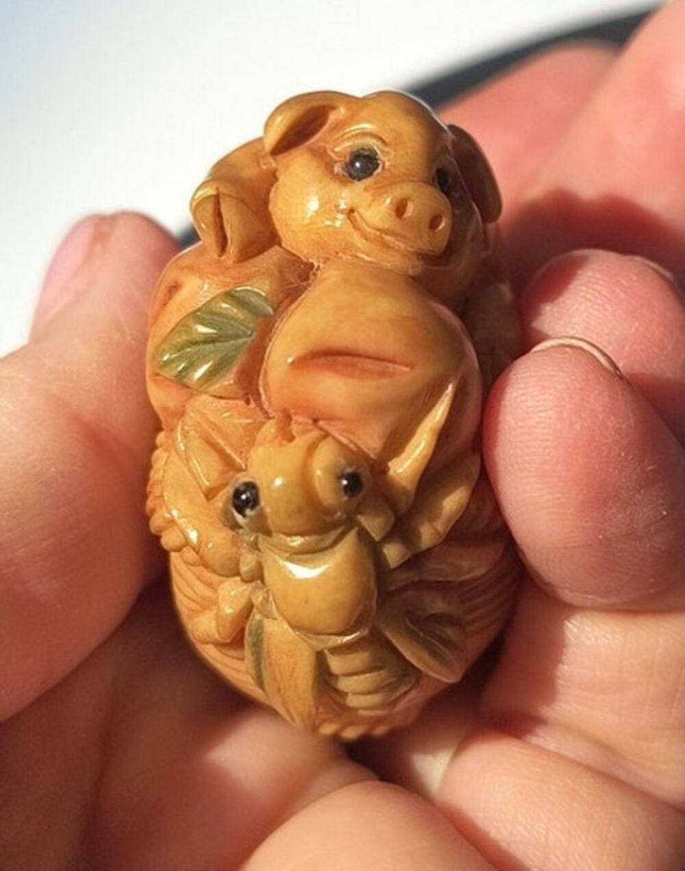 77. Netsuke Tagua Palm Nut Carving Japanese Pig